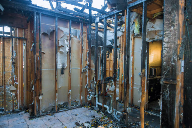 Professional Structural Rebuild technician working in Frisco, TX